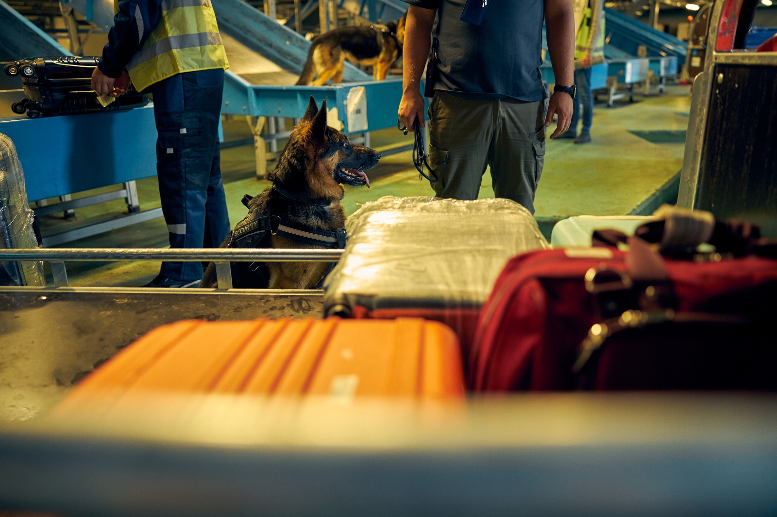 Excess Baggage from Uk